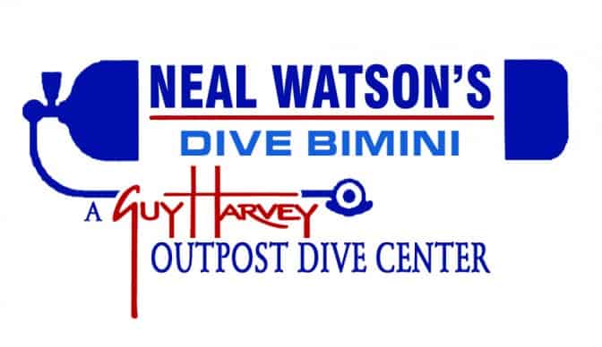 Neal Watson's