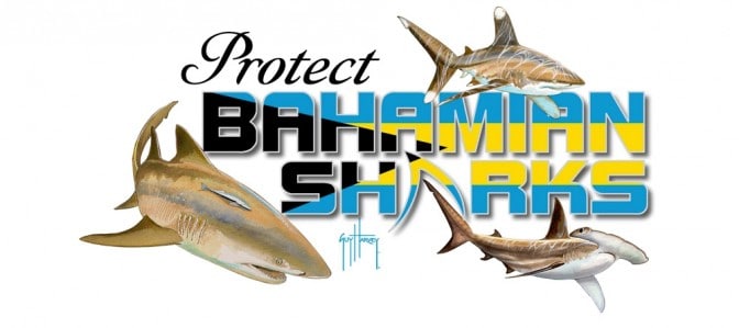 Bahamian Sharks