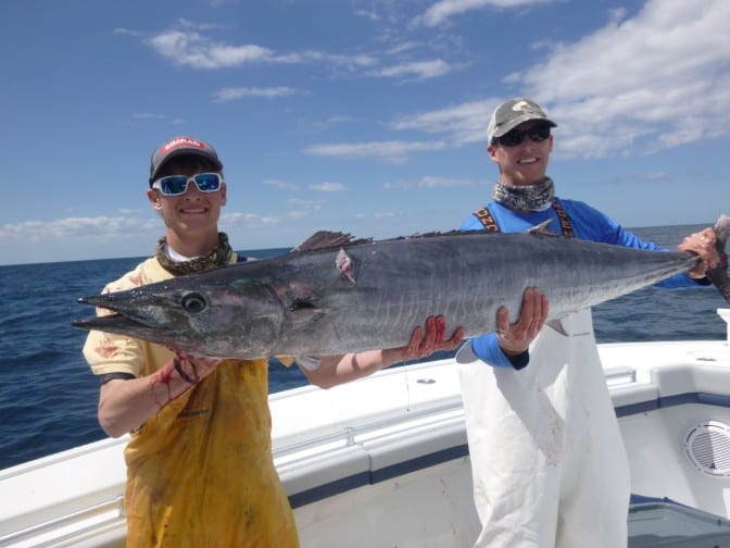 Giant wahoo off st augustine