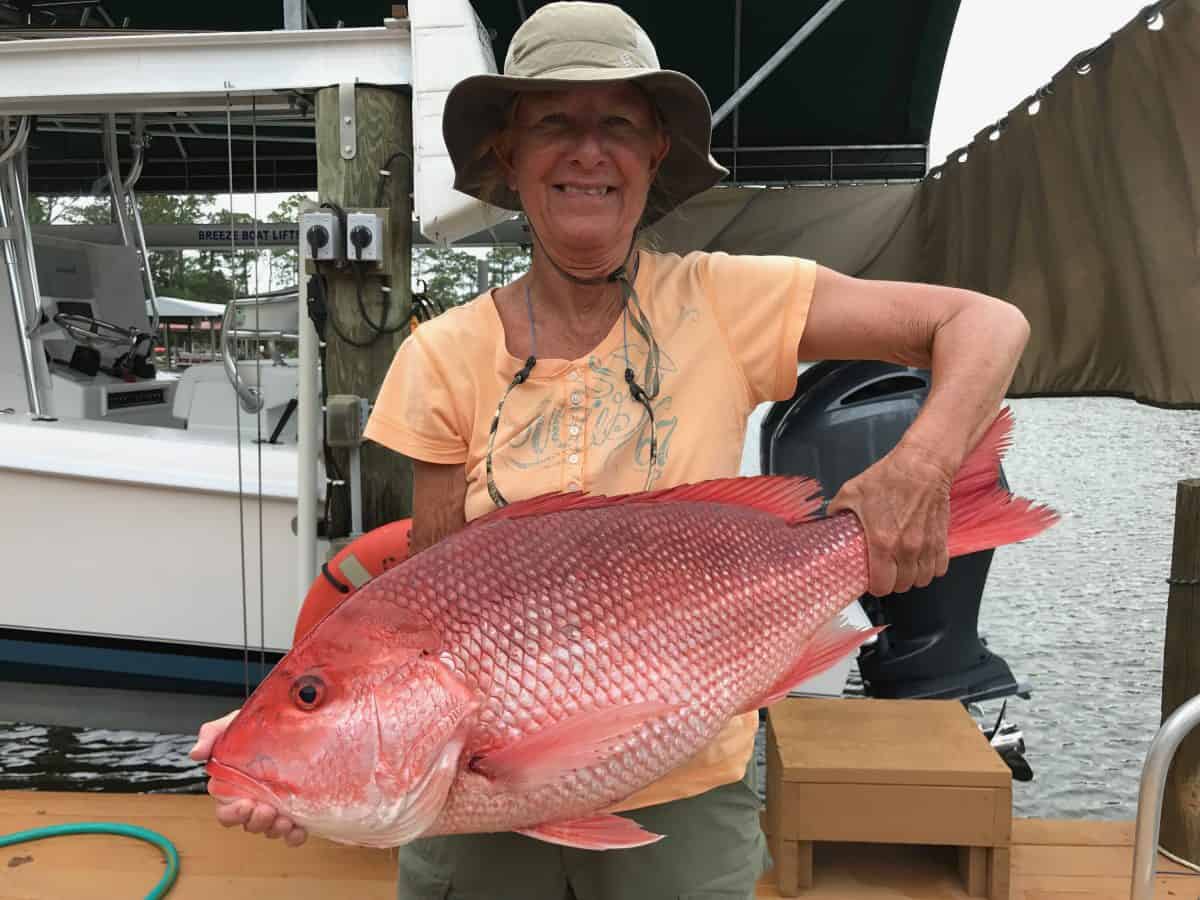Red hot red snapper fishing in the gulf