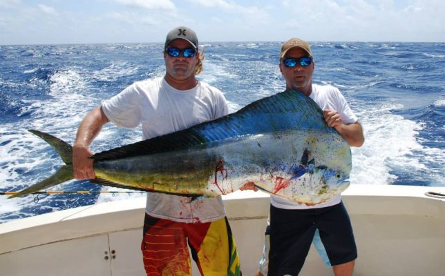 Guy Harvey Out Post Blog