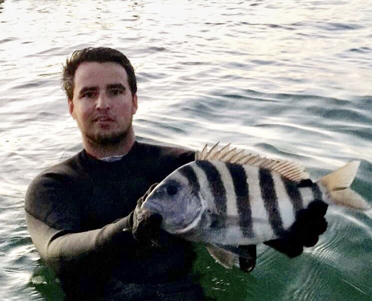 Catching sheepshead — or 'convict fish' — can be tricky